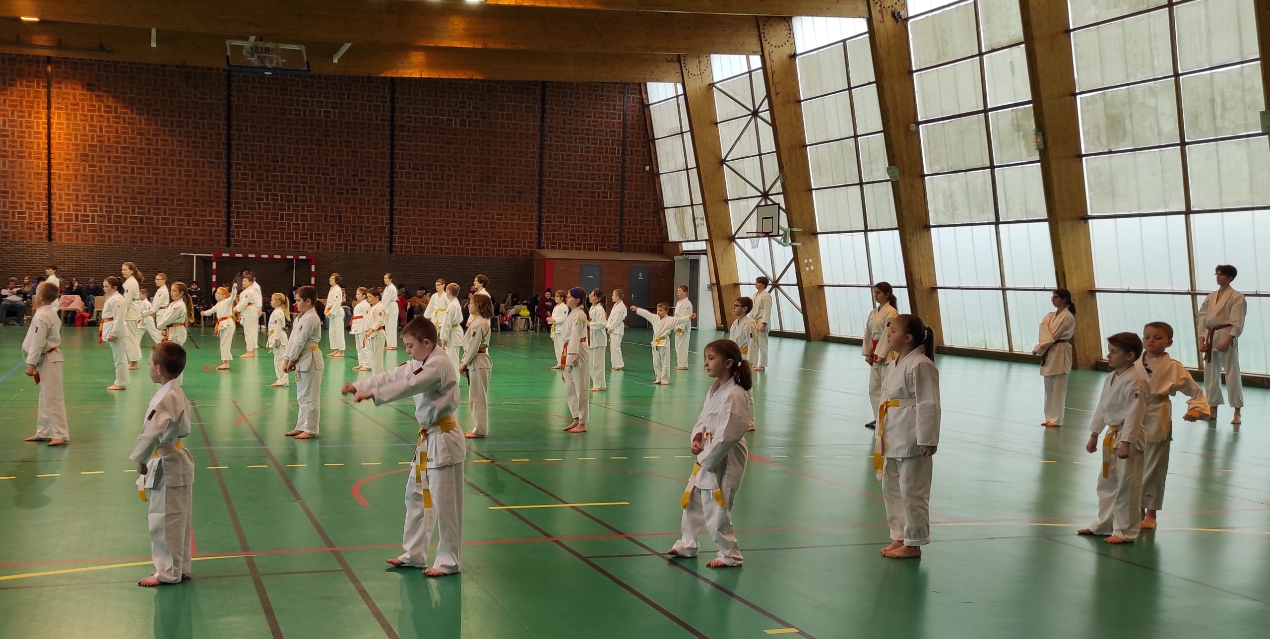Académie Shotokan